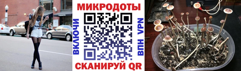 Галлюциногенные грибы прущие грибы Купить Правдинск